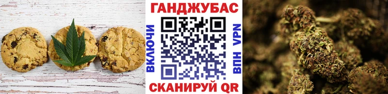 как найти закладки  Жиздра  Еда ТГК конопля 
