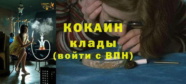 ГАЛЛЮЦИНОГЕННЫЕ ГРИБЫ Гусь-Хрустальный