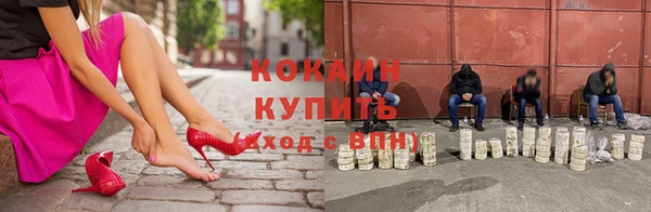 ГАЛЛЮЦИНОГЕННЫЕ ГРИБЫ Гусь-Хрустальный