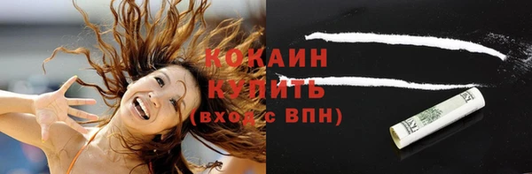 ГАЛЛЮЦИНОГЕННЫЕ ГРИБЫ Гусь-Хрустальный