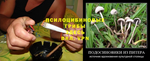 гашишное масло Гусев