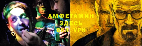 ГАЛЛЮЦИНОГЕННЫЕ ГРИБЫ Гусь-Хрустальный