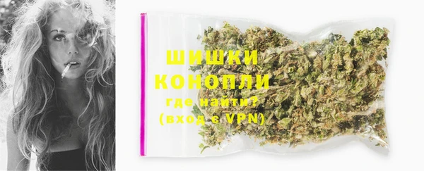 ГАЛЛЮЦИНОГЕННЫЕ ГРИБЫ Гусь-Хрустальный