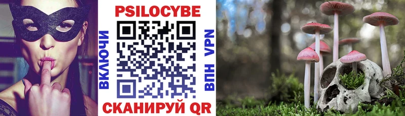 закладка  blacksprut ссылки  Псилоцибиновые грибы прущие грибы  Жиздра 